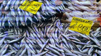 Balık Tezgâhları Soğuk Havayla Bereketlendi