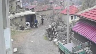 Köyde eşine saldıran şahıs tutuklandı