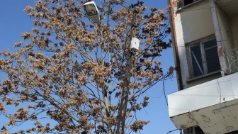 Eskişehir Kurtuluş Mahallesi’nde eğik aydınlatma direği tedirgin ediyor