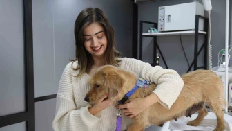 Eskişehir’de 12 Yerinden Vurulan Sokak Köpeği Tedavi Altına Alındı