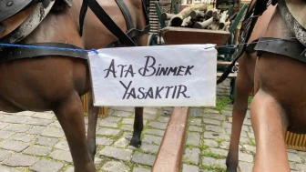 Eskişehir’deki "Ata binmek yasaktır" uyarısı dikkat çekiyor