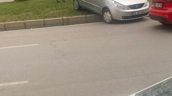 Park Halindeki Otomobil Geri Geri Giderek Reflüje Çıktı
