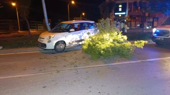 Süratli Otomobil Refüje Daldı: Sürücü Yaralıları Bırakıp Kaçtı