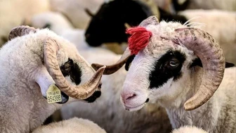Odunpazarı Belediyesi’nden bayram için ücretsiz ve randevulu hizmet