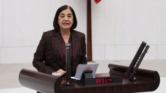 CHP'li Süllü: "İklim kanunu teklifini anlamak istiyorsan Alpu Ovası’na bak!"