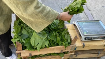 Eskişehir'de zirai don tabaktaki porsiyonları küçülttü