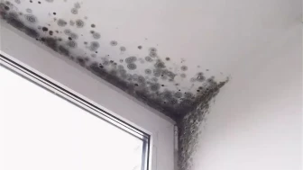 Banyo Tavanındaki Nem ve Küfü Önlemenin 3 Pratik Yöntemi
