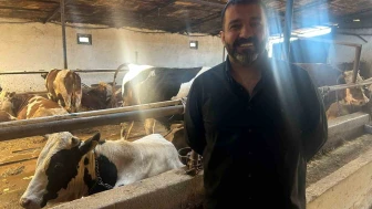 Eskişehir'de bayrama sayılı günler kala bazı üreticide kurbanlık hayvanlar tükendi