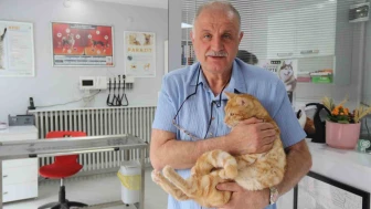 Eskişehir'de kedisini veterinere yetiştirmeye çalışırken trafik cezası yedi, itiraz etti