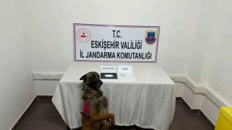 Eskişehir'de yasaklı madde taşıyan şahıs yakalandı