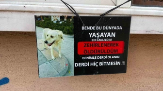Zehirlendiği iddia edilen köpeğin fotoğrafıyla asılan not göze çarptı