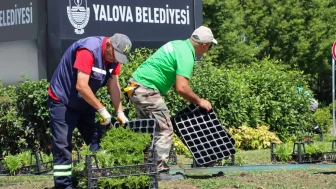 Yalova Belediyesi’nden Kent Estetiğine Renkli Dokunuş