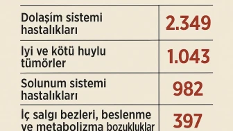 Eskişehir’de En Çok Hangi Hastalık Öldürüyor? TÜİK Açıkladı