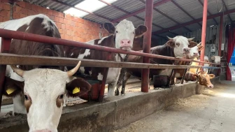 Eskişehirliler dikkat: 6 farklı noktada kurban kesim alanı belirlendi