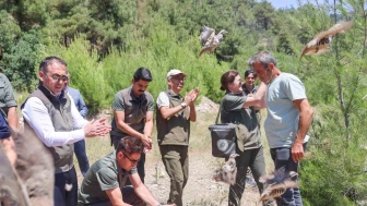 Bilecik’te 300 Kınalı Keklik Doğaya Salındı