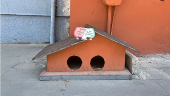 Eskişehir’de sıcak bir köşe: Kedi evine duygusal dokunuş