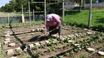 Tepebaşı’nda vatandaşlar gönüllü bahçelerde hem üretiyor hem stres atıyor