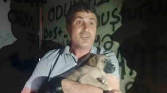 Eskişehir'de trafoda mahsur kalan köpek, hayvanseverler ve OEDAŞ sayesinde kurtarıldı
