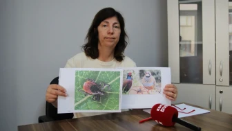 Ziraat Mühendisleri Odası’ndan kene uyarısı: Eskişehir'de risk yüksek!