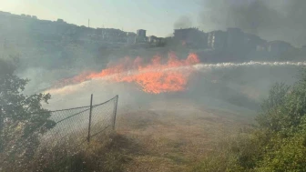 Otluk Alanda Çıkan Yangın Korkuttu