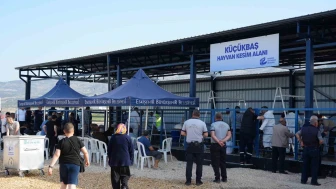 Büyükşehir Hayvan Pazarı’nda ilk defa kesim hizmeti sunuldu