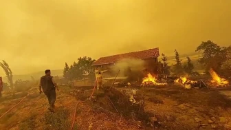 Sakarya’dan Bilecik’e sıçrayan yangın büyüyor: 3 ev daha kül oldu