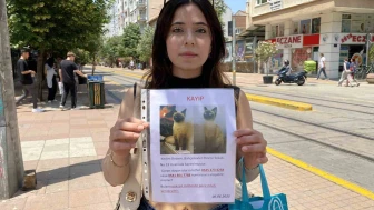 Herkes bayramı kutlarken o sokak sokak kayıp kedisini aradı