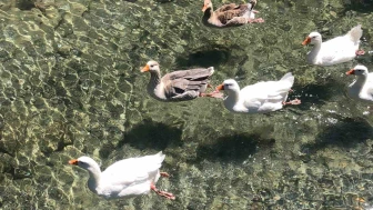 Porsuk’tan Beslenen Kanal, THK Eğitim Merkezine Can Katıyor