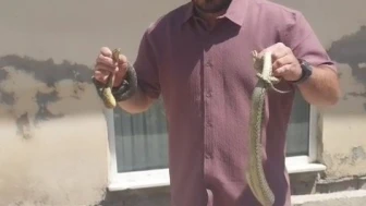 Komşusunun Evine Giren Yılanları Eliyle Yakaladı: 'Yılan Avcısı' Lakabını Aldı