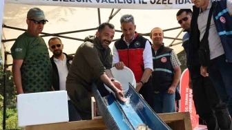 Gölete hayat, doğaya denge: 270 anaç balık salındı