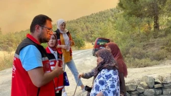 Gölpazarı’nda yangın yaraları sarılıyor: Destek ekipleri sahada