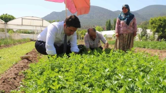 Sarıcakaya'da Üretim Yükseliyor: Tarımın Kalbine Kaymakam Desteği