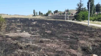 Eskişehir'de torpilden çıkan yangında 15 dönümlük arazi kül oldu