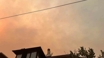Yangın Bayırköy Sınırına Dayandı