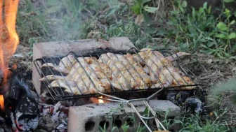 Yaz aylarında doğayı korumak için ateş yakma yasağı getirildi!