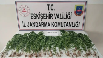 Eskişehir’de Kamu Arazisine Kenevir Eken Şahıs Suçüstü Yakalandı