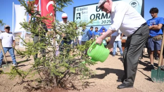 Odunpazarı’nda 8. Ahşap Heykel Festivali Tamamlandı, Umut Ormanı Yeşerdi