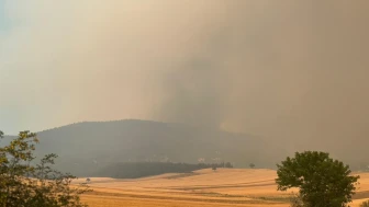 Sakarya’daki Orman Yangını Bilecik’e Yaklaştı