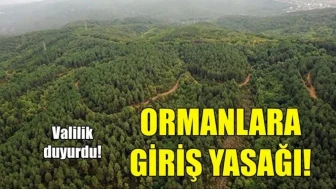 Afyonkarahisar’da 15 Ekim’e Kadar Ormanlara Giriş ve Ateş Yakmak Yasaklandı