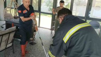Afyonkarahisar'da Yılan Alarmı: Vatandaşlar Tedirgin!