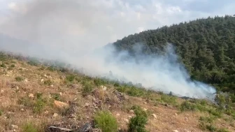 Bilecik’te Aynı Noktada 15 Gün İçinde İkinci Yangın Çıktı