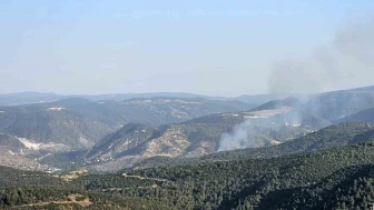 Bilecik Bekdemir Köyü’nde Çıkan Orman Yangını Kontrol Altına Alındı