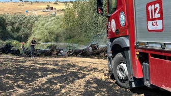 Eskişehir’de Tarım Arazisinde Çıkan Ekin Yangını Söndürüldü