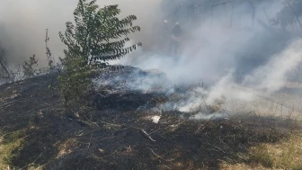 Gediz’de Alevler Mahalleliye Korku Dolu Anlar Yaşattı