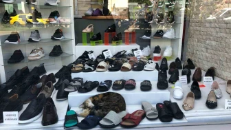 Eskişehir’de Kedi Sıcaktan Kaçtı, Ayakkabıların Arasında Serinledi