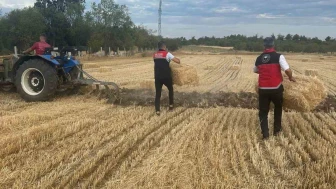 Yangın Sonrası Tarım Desteği: 60 Kişilik Ekip Üreticilere Yardım İçin Seferber Oldu
