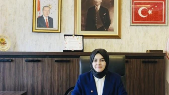 Gölpazarı’nda Yangından Etkilenen Köylerde Hasar Tespiti Başladı