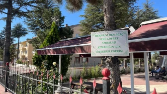 Eskişehir'de Ağacın Anlamlı Mesajı