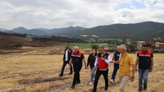 Yangın Bölgesinde Tarımsal Destek Sürüyor