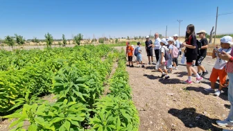 Eskişehirli Çocuklar Taşlık Çiftlik Köyü’nde